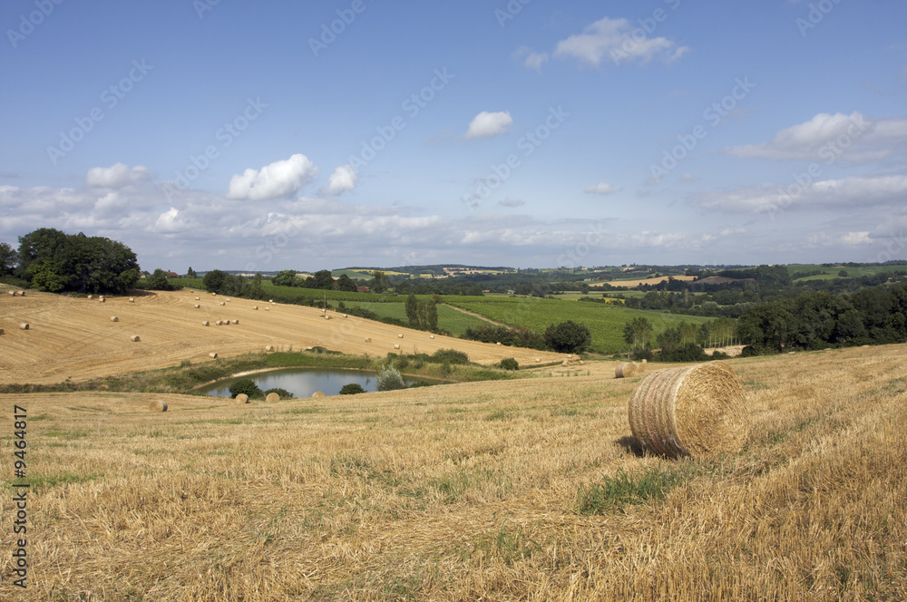 Obraz premium Landscape in Aquitaine, France