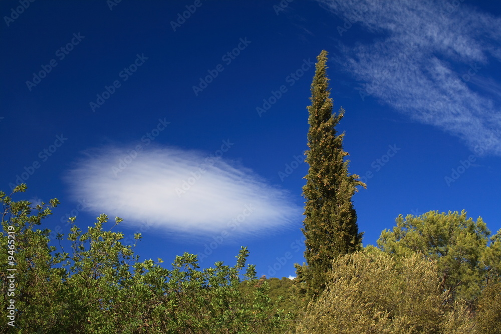 Fototapeta premium La nuvola soffiata!
