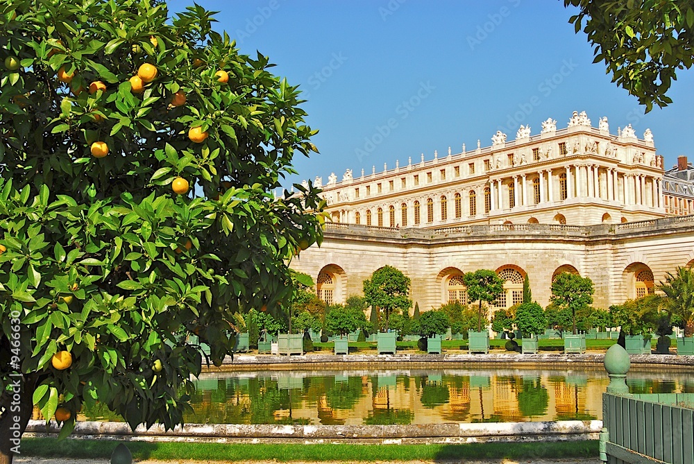 Fototapeta premium orangerie de Versailles
