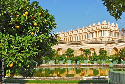 orangerie de Versailles photo