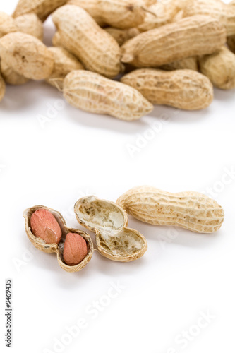 Wallpaper Mural Peanuts with white background, close up Torontodigital.ca