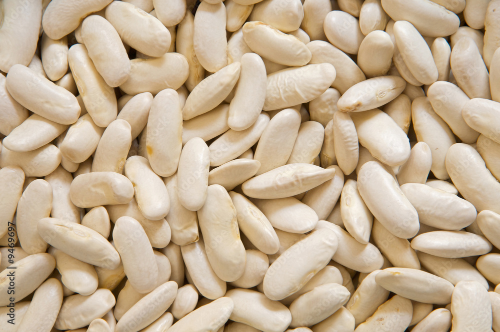 Photo of many white beans for use as background