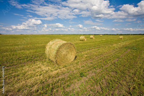 agriculture series: field with ready hayrick