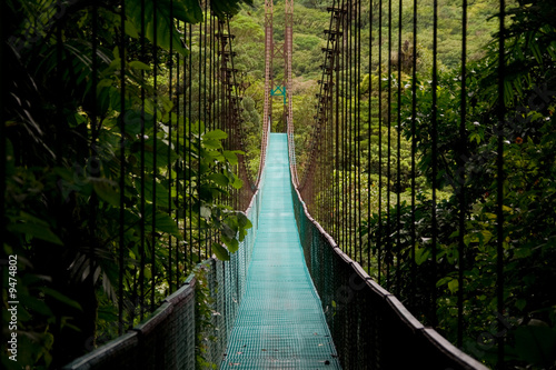 a hanging bridge in the costa rican jungle #9474802
