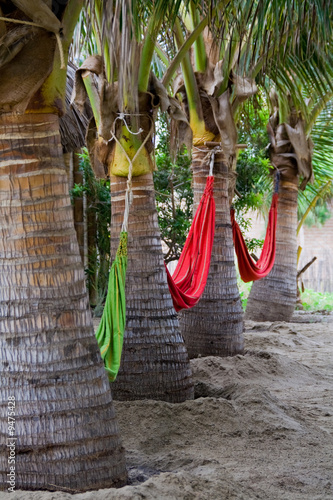 a row of palm trees in the sand with hammocks