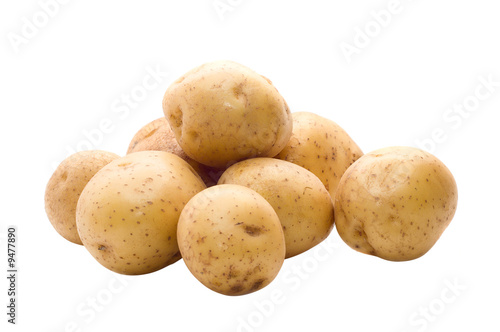 Raw potatoes on white background..