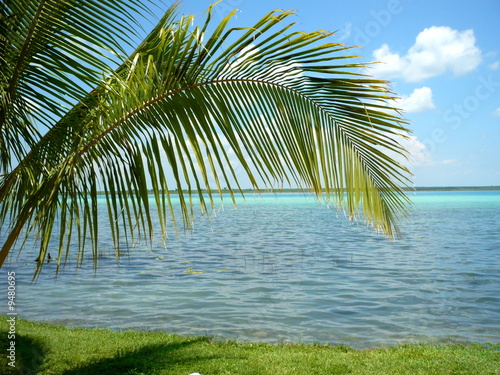 bacalar