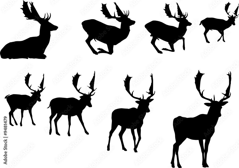 buck deer silhouette, vector collection Stock Vector | Adobe Stock