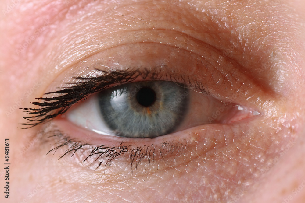 Fototapeta premium Auge