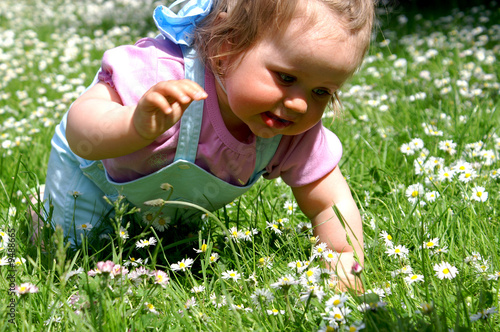 Baby girl and the beauty white daisy