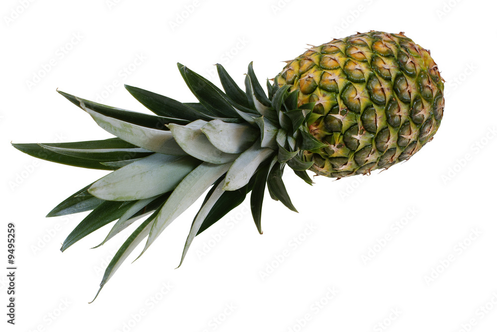 lying big and ripe pineapple isolated on white background lying big and ripe pineapple isolated on white background