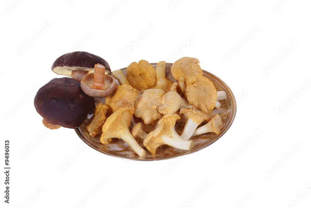 fresh mushrooms on plate isolated on white background fresh mushrooms on plate isolated on white background