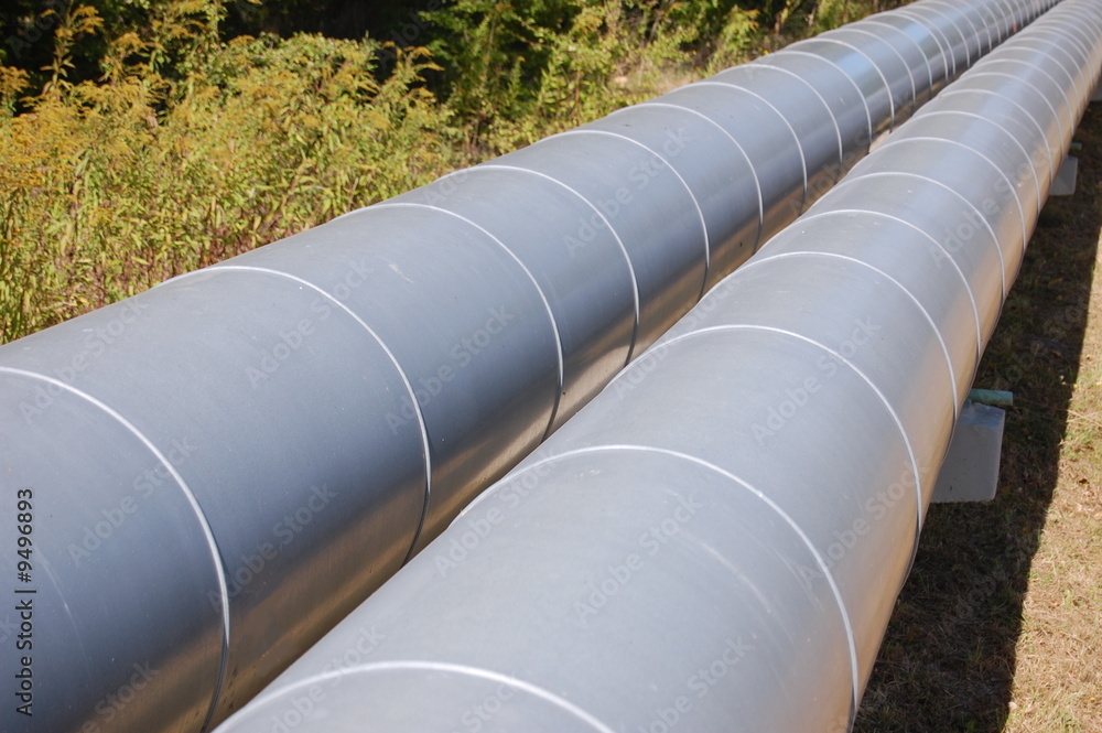 A gray pipeline crossing an old forest A gray pipeline crossing an old forest