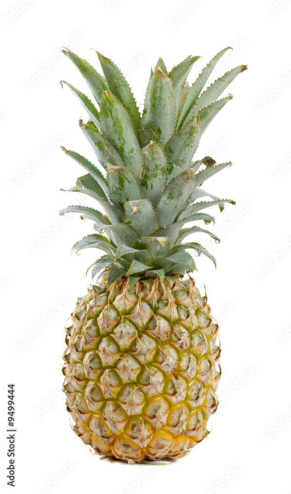 Pineapple isolated over white background Pineapple isolated over white background