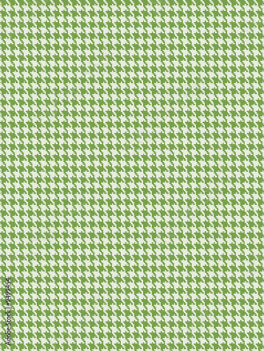Pied de poule vert