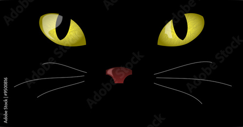 Fototapeta Naklejka Na Ścianę i Meble -  Cats Eye