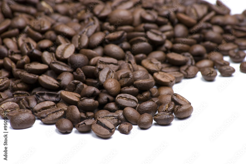 Coffee Beans on White Background Coffee Beans on White Background