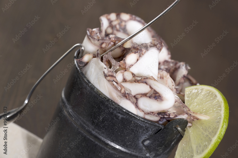 Fototapeta premium tintenfisch sülzchen