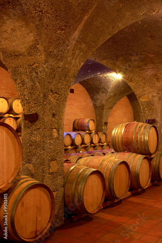 Weinkeller Rotwein im Barrique Fa   ausgebaut Toskana Italien