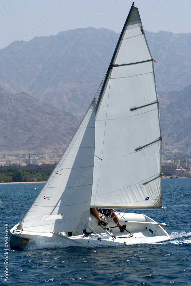 Obraz premium Team sailing on a small sail boat
