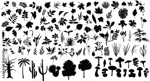 Silhouettes of different plants