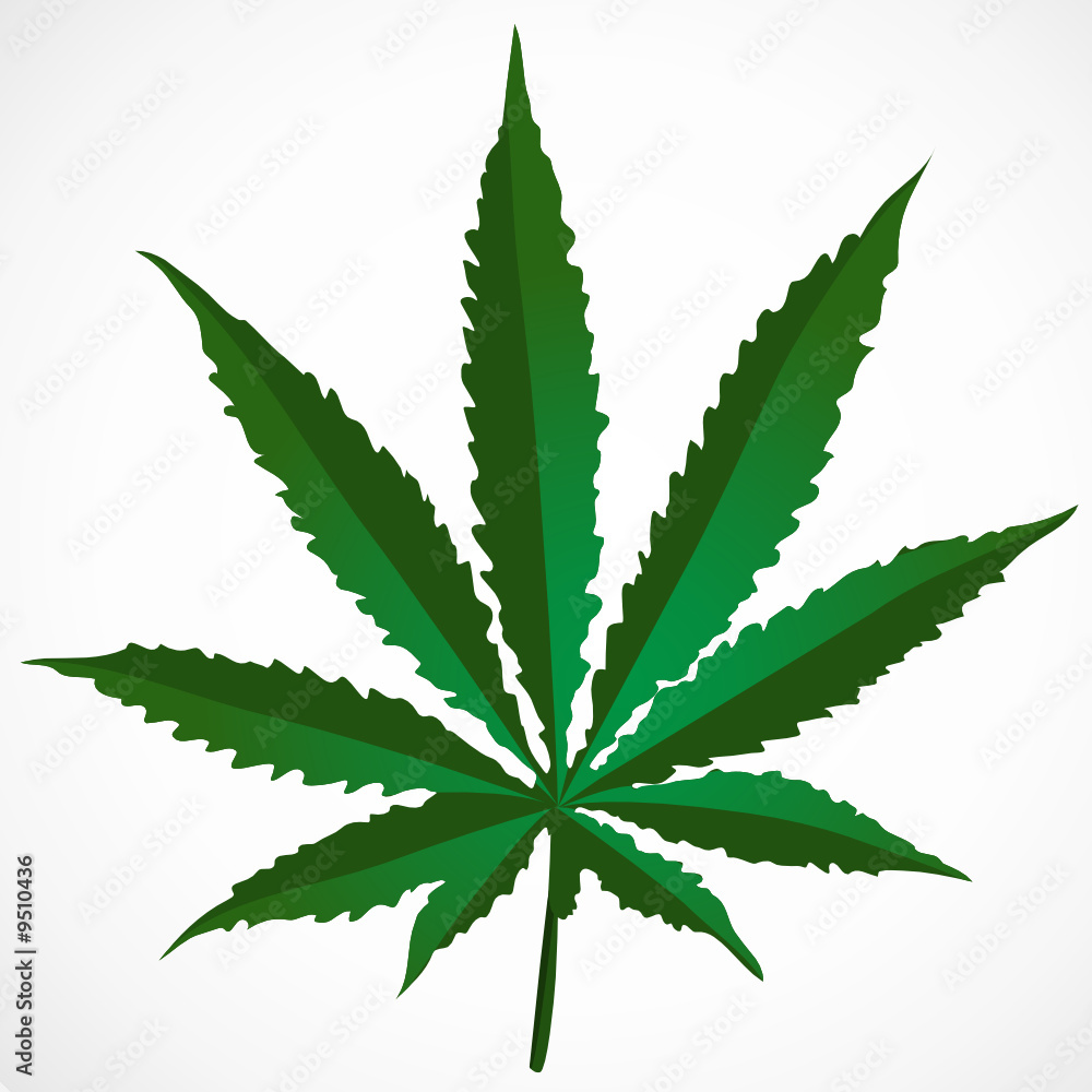 Vector of cannabis leaf Vector of cannabis leaf