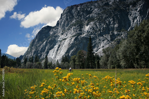 Beautiful View in Yosemite National Park With Man on Bicycle