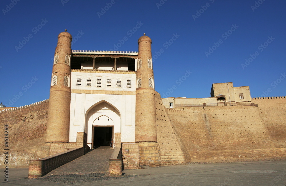 Castle in Bukhara