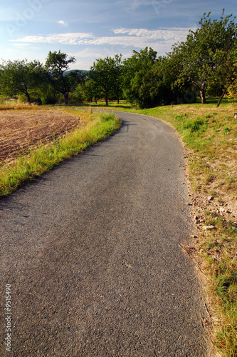 Road through summer countryside