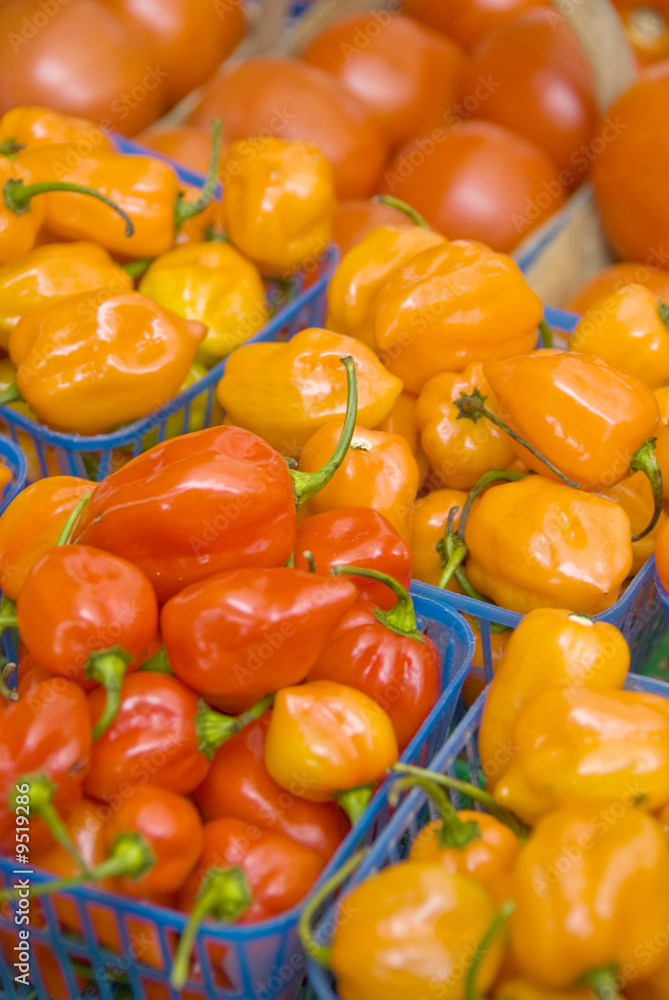 Baskets of Hot Peppers and Tomatoes Baskets of Hot Peppers and Tomatoes