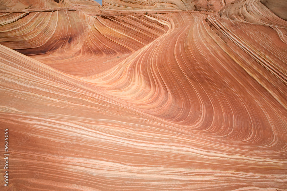 Fototapeta premium Die Wave im Paria Canyon