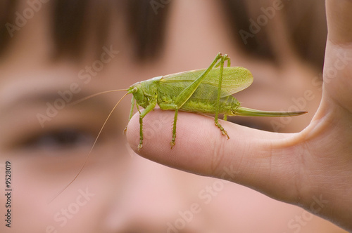 Girl with grasshopper
