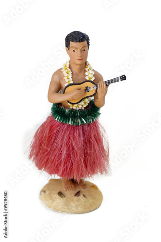 Hula man playing instrument photo