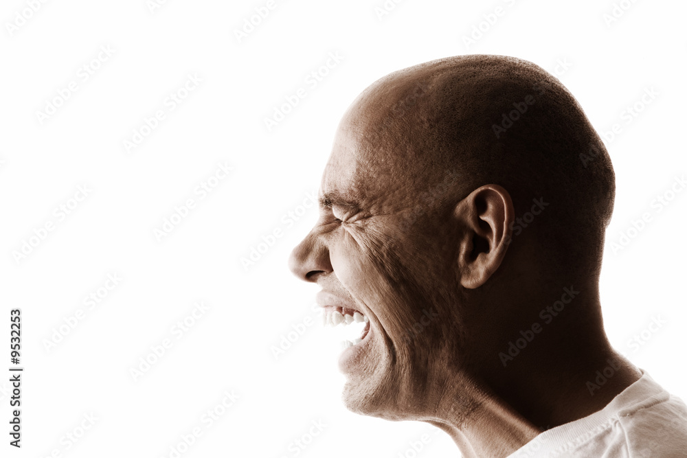 isolated on white background, focus point on eye