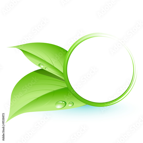 Sphère et feuilles vertes