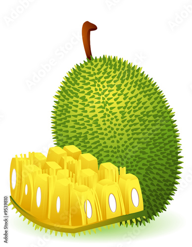 Jackfruit