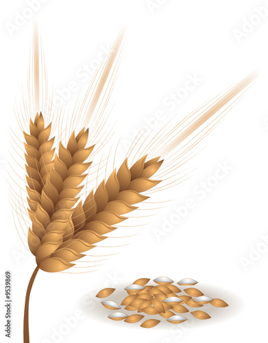 Wheat