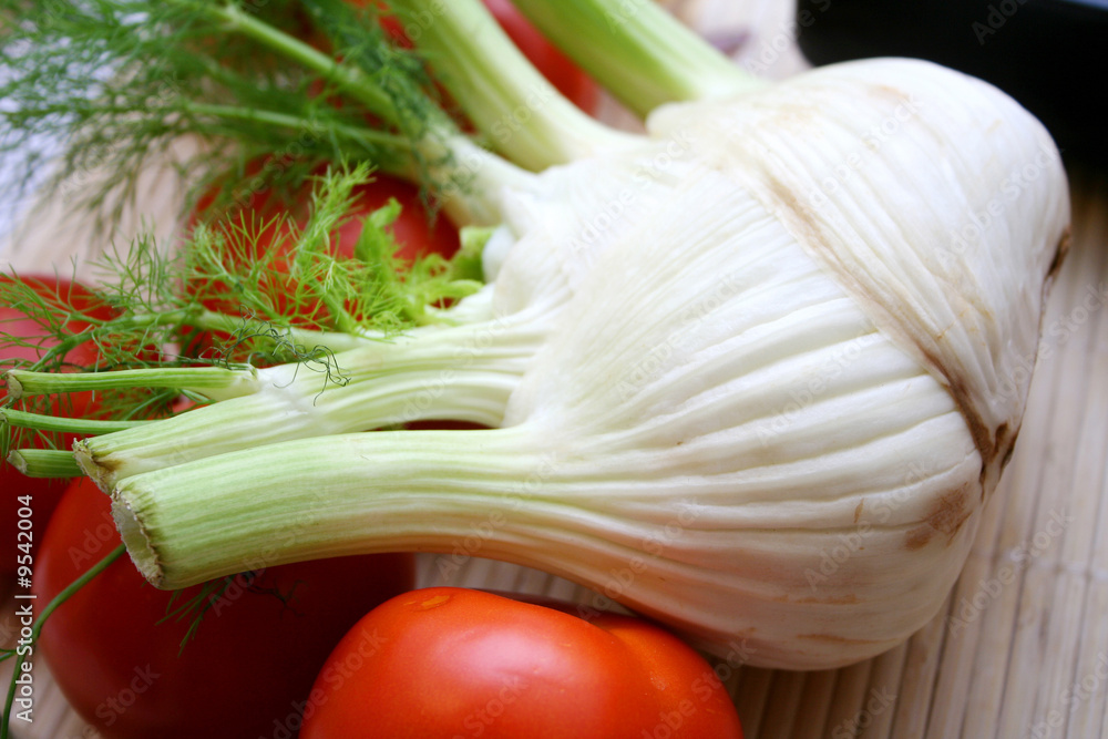 fenchel fenchel