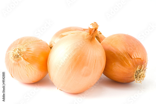 Wallpaper Mural Onion isolated on white background Torontodigital.ca