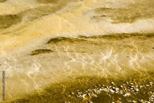 colorful abstract pattern in a thermal pool in a geyser basin
