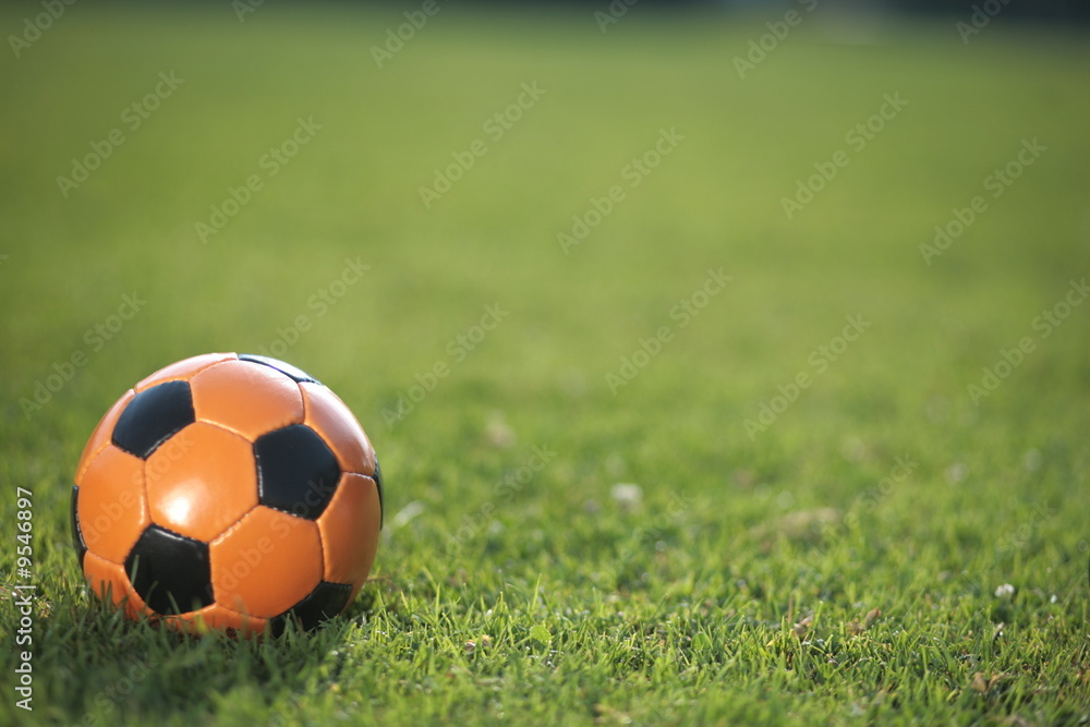 Fototapeta premium football in the grass