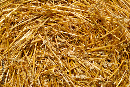 Shot of the center of a spiral hay bale.