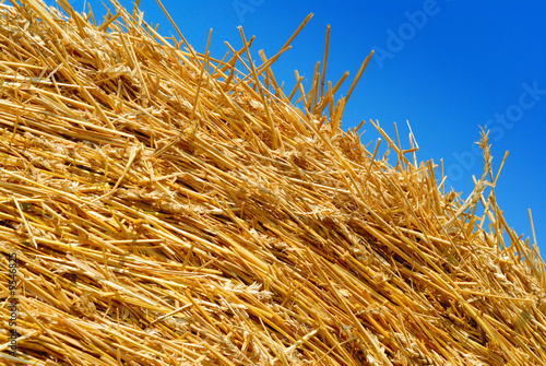 Top of a hay bale against a clear blue sky.