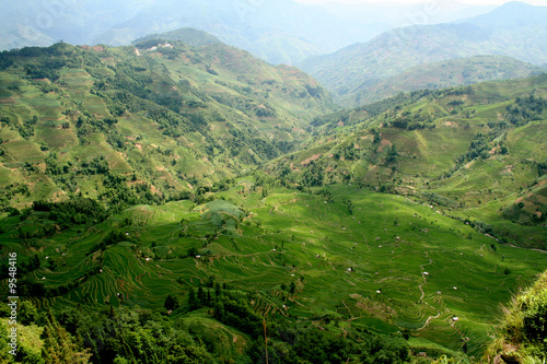 riziere de montagne (Yunnan - Chine)