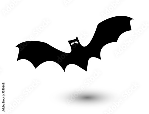 chauve-souris
