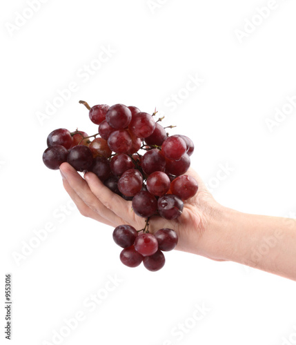 Grapes in a hand