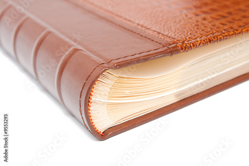 book with crocodile cover isolated on white