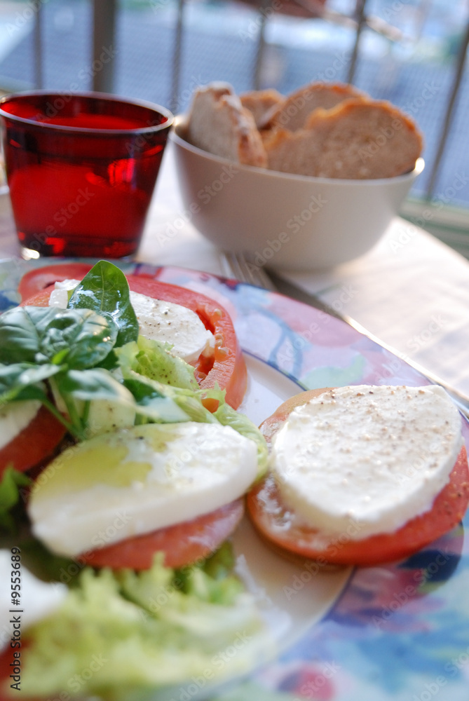 caprese salad. tomatoe, basil and mozzarella cheese caprese salad. tomatoe, basil and mozzarella cheese