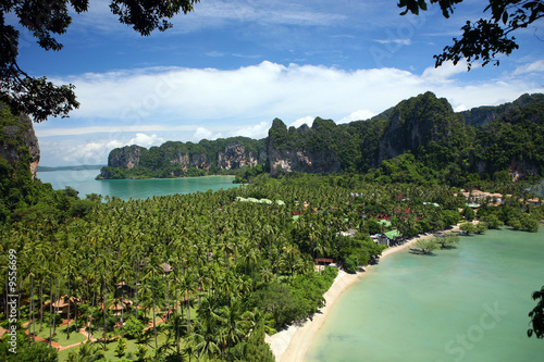 Tropical beach scene