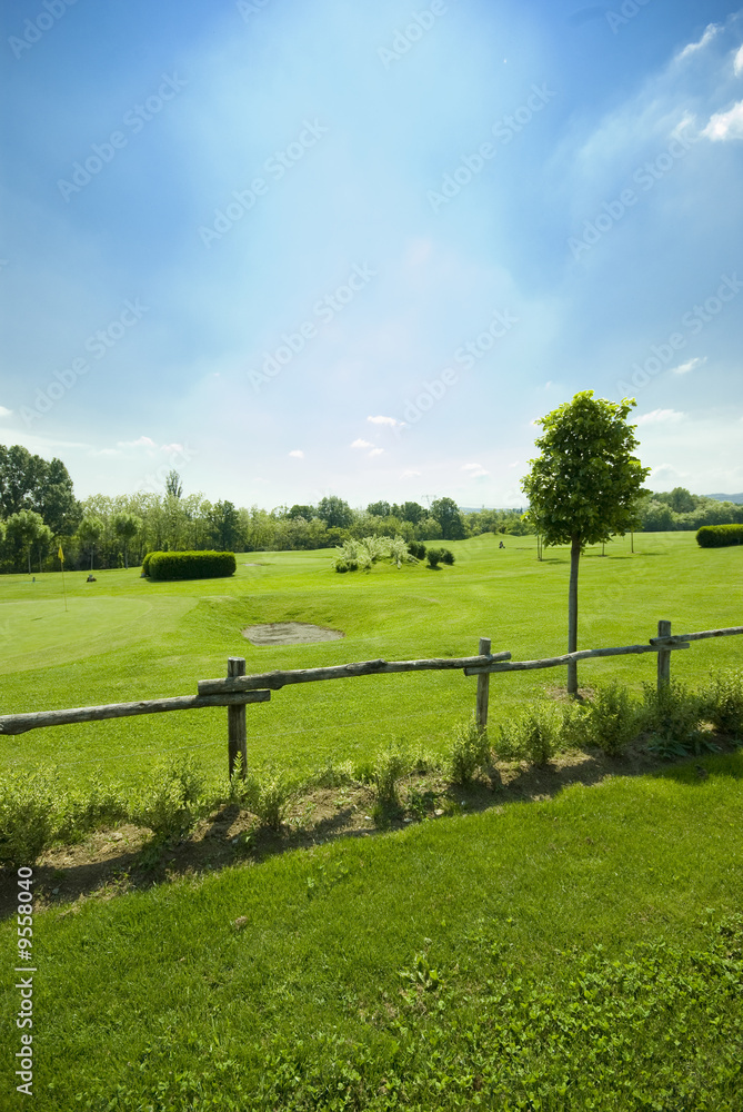 Golf club view of putting green - sport